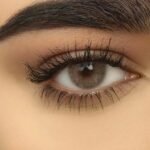 Bee by Nada | Bold Beauty in Focus
